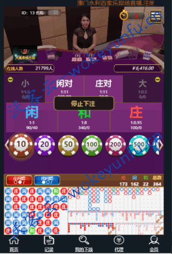 【视讯百家乐】2020年全网独家更新+二开修复完整运营+对接收款宝微信调用+开源无授权