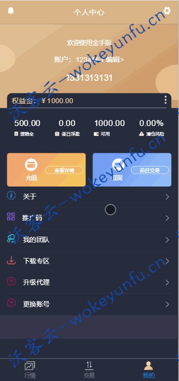 【金手指】微交易+带曲线+虚拟股票交易程序源码