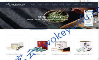 【网展中英外贸网站绿色风格 v6.1】高级用户交互功能+提供公司Google地图设置接口+站内链接