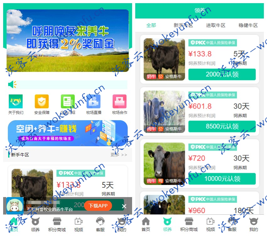 【牧场养牛游戏挖矿理财源码】ThinkPHP内核+带积分商城+抽奖+会员特权+可打包APP